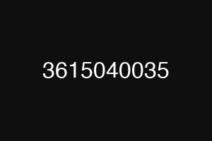 3615040035