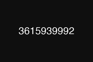 3615939992