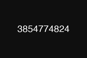 3854774824