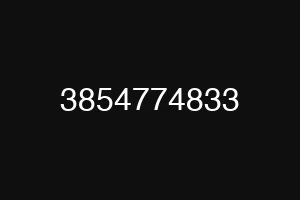 3854774833
