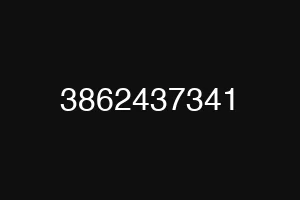 3862437341