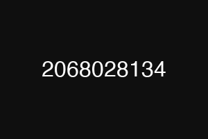 2068028134