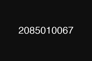 2085010067