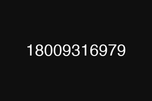 18009316979