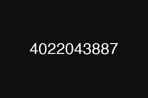 4022043887