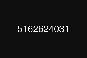 5162624031