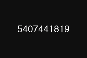 5407441819