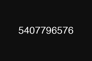 5407796576