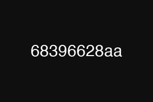 68396628aa
