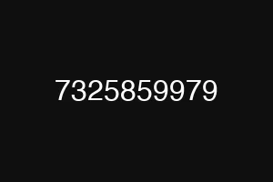 7325859979