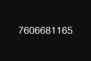 7606681165