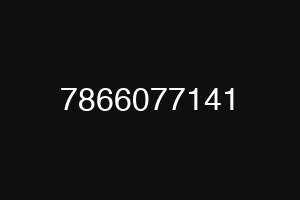 7866077141