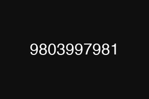 9803997981