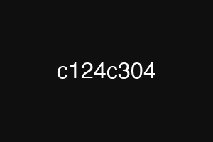 c124c304