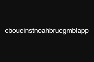 cboueinstnoahbruegmblapp